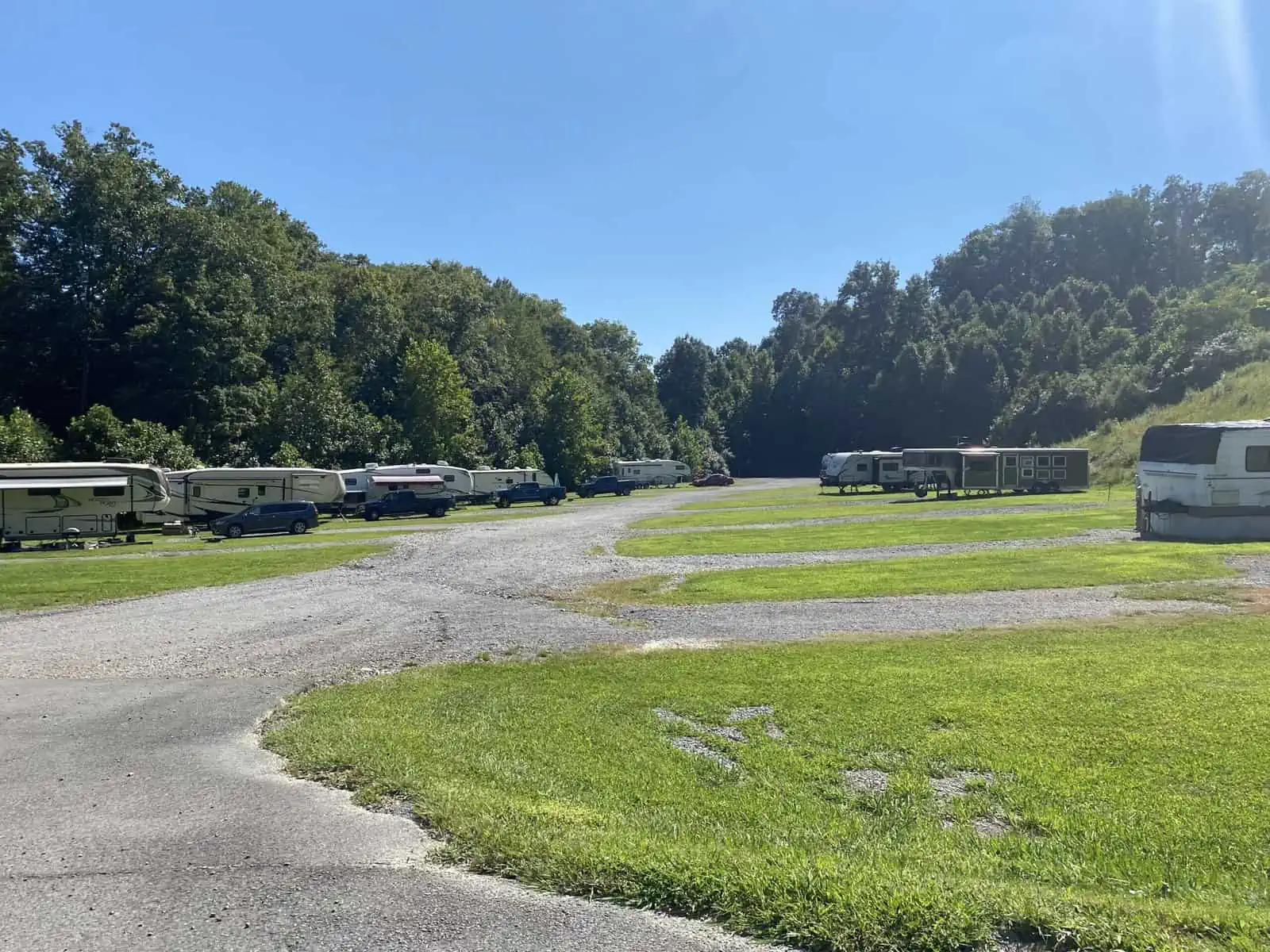 A sunny day at a spacious RV park, featuring multiple parked RVs aligned along a gravel path. Surrounding the area are lush green trees, with mowed grass covering the open spaces. The sky is clear and blue.